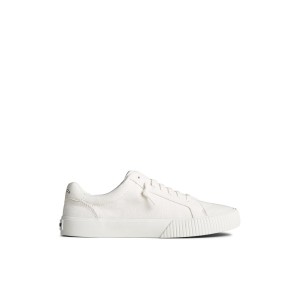 Sperry Bermuda SeaCycled Canvas Sneaker White | IRMFUY-385