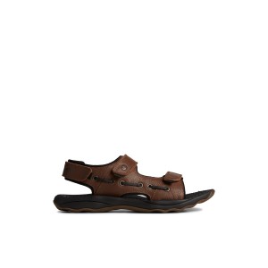 Sperry Rivington Sandal Brown | LXAURD-634