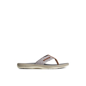 Sperry SeaCycled Baitfish Baja Flip Flop Grey | MJKCNB-756