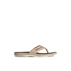 Sperry SeaCycled Baitfish Baja Flip Flop Beige | PYVRDI-584