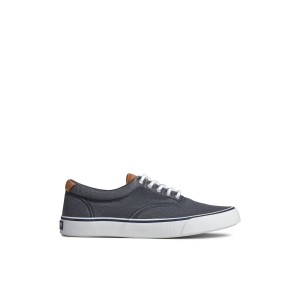 Sperry Striper II CVO Sneaker Navy | IKLJTX-580