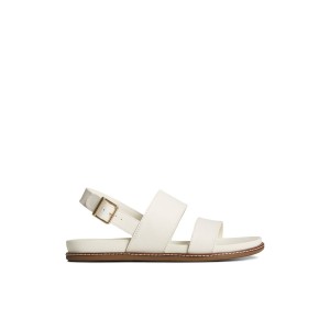 Sperry Waveside PLUSHWAVE Backstrap Sandal Beige | OHUBAF-241
